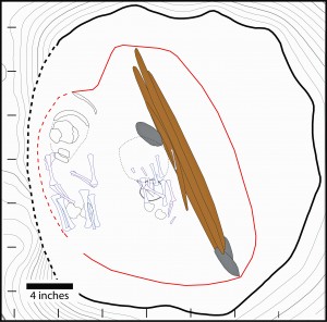 An illustration of an 11,500-year-old grave in central Alaska that contained a rare double burial of two infants dating to 11,500 years ago. Outlines of the two sets of remains are shown at left and center. Also found in the grave were a stone cutting tool, above center, and animal antlers with spear points, right of center.