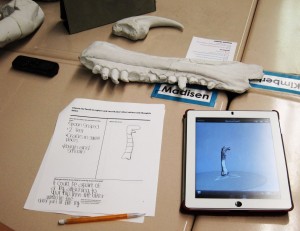 A completed Research Quest activity worksheet next to a virtual 3-D model of a dinosaur bone from the Natural Museum of Utah's fossil collections.