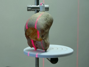A 3-D laser scans a howler monkey hypoid bone.