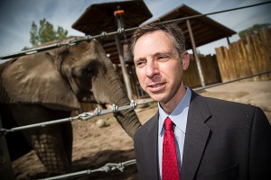 Joshua Schiffman, M.D., pediatric oncologist at the Huntsman Cancer Institute at the University of Utah, has led a study that could explain why elephants rarely get cancer. Elephants have extra copies of a gene that encodes a well-defined tumor suppressor, p53. Elephants may also have a more robust mechanism for killing damaged cells that are at risk for becoming cancerous. The findings could lead to new strategies for treating cancer in humans.