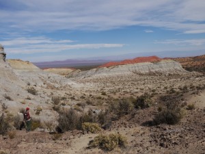 Co-author Adriana Mancuso (far left) investigates badlands of the Chañares Formation, deposited 236 to 234 million years ago in what is now Talampaya National Park, Argentina.