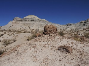 The rocks of the Chañares Formation contain a wealth of fossils from the Triassic Period, which are often preserved in large concretions (foreground).