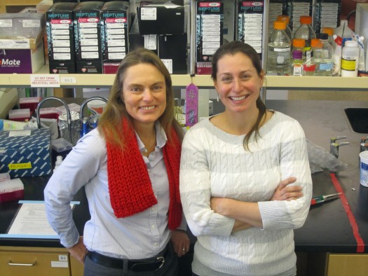 Denise Dearing, distinguished professor and chair of biology at the University of Utah, and Patrice Kurnath, a doctoral student in biology.